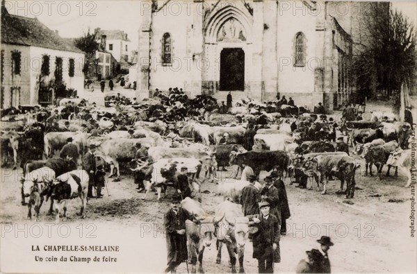 LA CHAPELLE-SAINTE-MELAINE