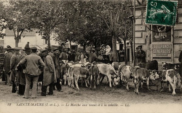 SAINTE-MAURE-DE-TOURAINE