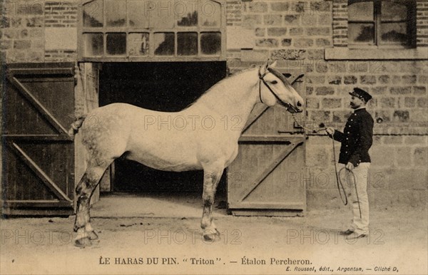 HARAS-DU-PIN