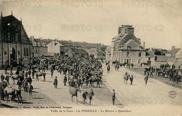 PERNELLE
