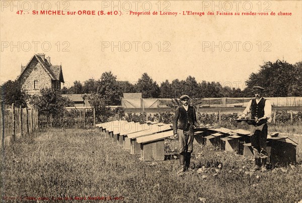 SAINT-MICHEL-SUR-ORGE. Département : Essonne (91). Région : Ile de France