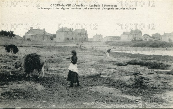 Saint-Gilles-Croix-de-Vie, la Pelle à Porteaux