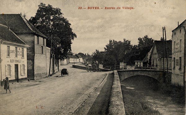 BOVES
