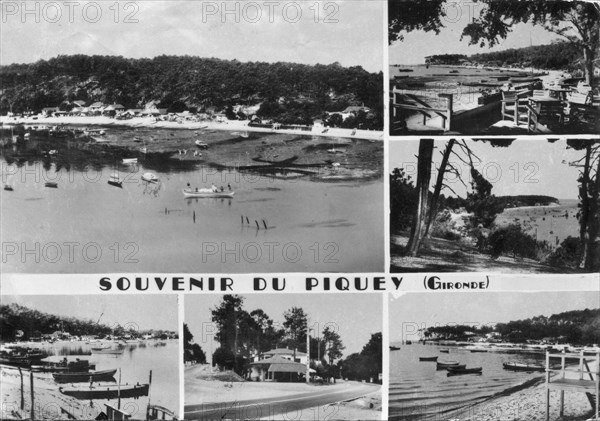 Piquey