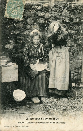 Chasse aux poux en Bretagne