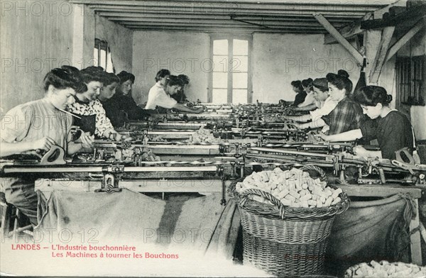 The cork industry in the Landes