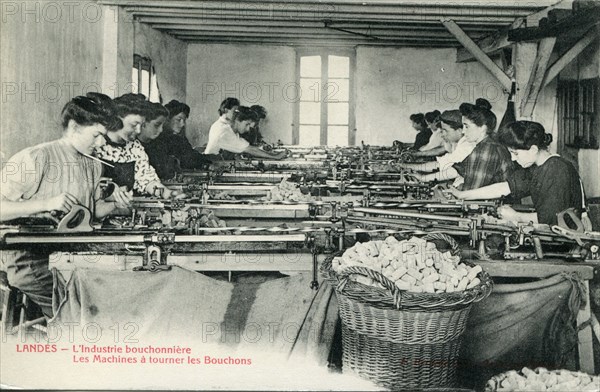 L'industrie bouchonnière dans les Landes