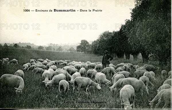 Dammartin-En-Goele