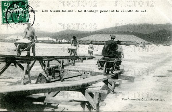 Hyères, le roulage pendant la récolte du sel