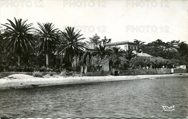 Ile-De-Porquerolles