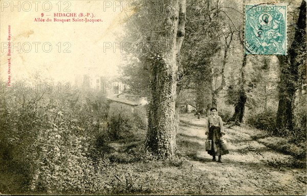 Bidache