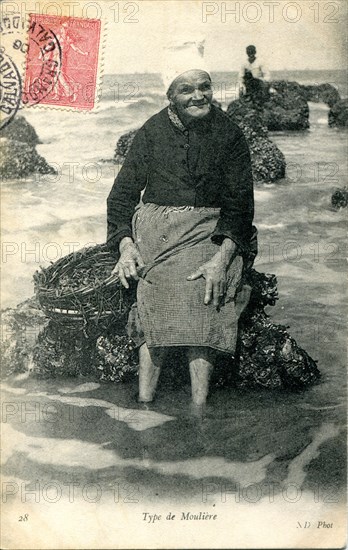 Old woman collecting mussels