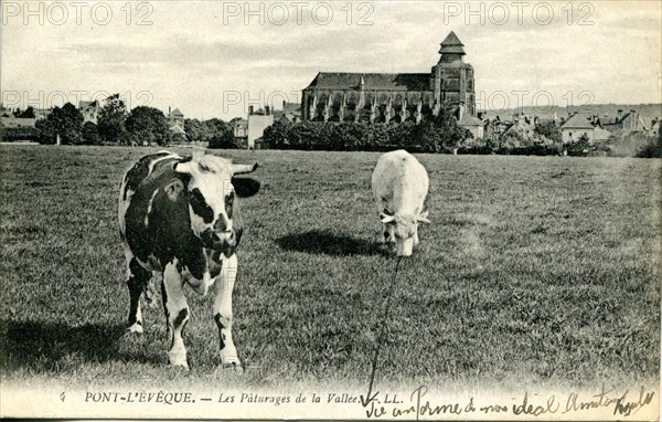 Pont-l'Evêque