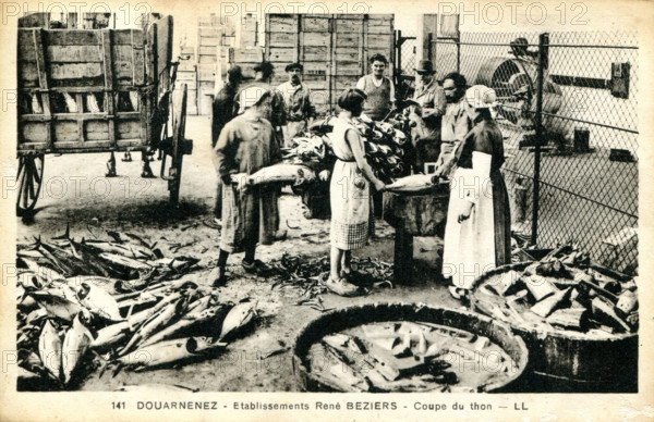 Douarnenez