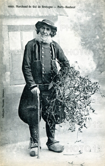 Marchand de gui de Bretagne
