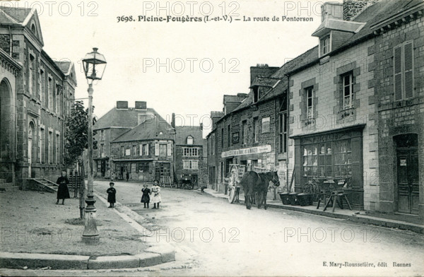 Pleine-Fougères