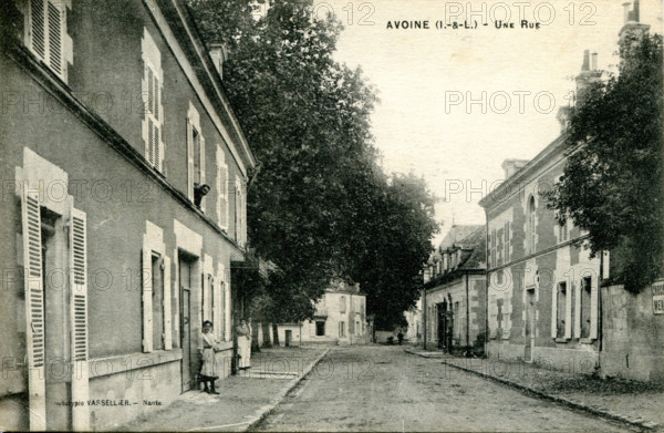 Avoine