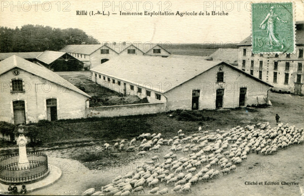 Rillé