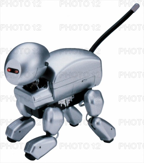 Chien robot