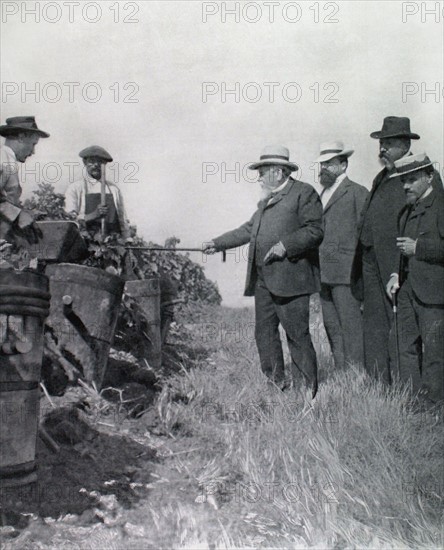 Le président de la République, M. Fallières, surveille la vendange de ses vignes (1906)