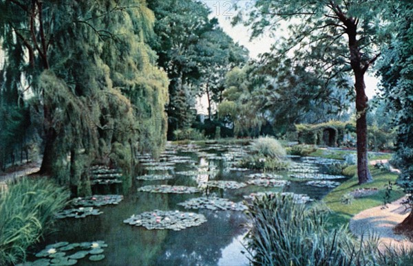 Le jardin d'eau aménagé par Claude Monet dans sa propriété de Giverny