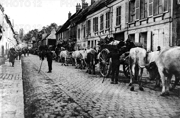 Première Guerre Mondiale. Exode des habitants de l'Aisne