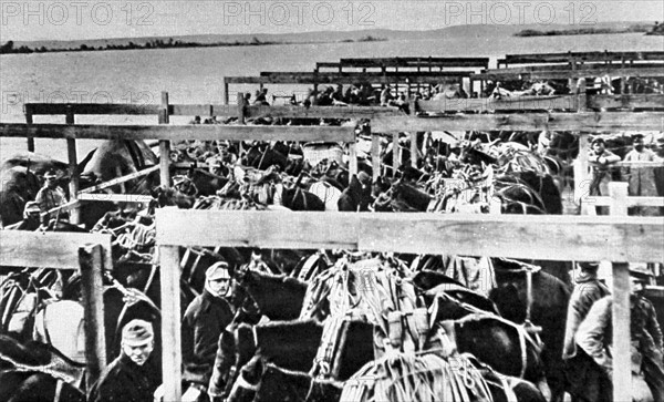 Des Autrichiens passent le Danube pour emmener des paysans serbes en captivité (1915)