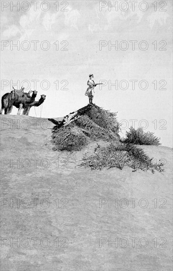 Conquête du Sahara. Mission Foureau-Lamy dans le désert (1900)