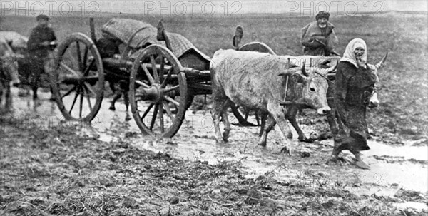 Exode des populations turques devant l'avance de l'armée bulgare (1912)