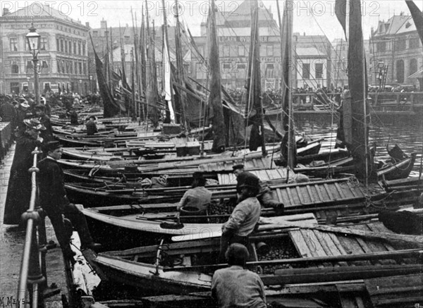 Le marché aux pommes de terre sur le quai de la Hanse à Bergen, la seconde ville de Norvège (1905)