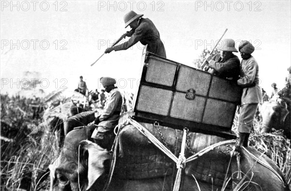 Le souverain George V d'Angleterre tire sur un rhinocéros lors d'une chasse dans la jungle, au Népal en 1912.