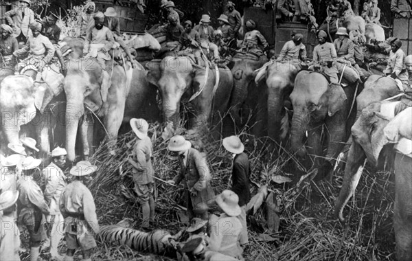 Le prince de Galles chassant le tigre au Népal, en 1922