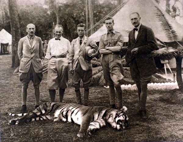 Le prince de Galles chassant le tigre au Népal, en 1922.