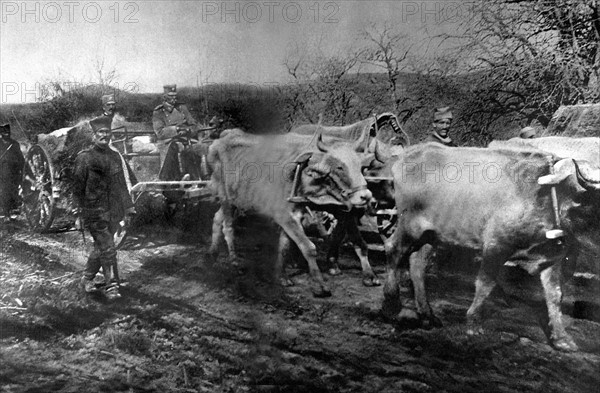 Première Guerre Mondiale. 
Le roi Pierre de Serbie quittant le territoire de la Vieille-Serbie, en 1916.