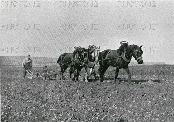 Ploughman soldier (Département of the Meuse, in the East of France)