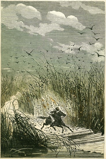 Jules Verne, "Michel Strogoff. De Moscou à Irkoutsk" (illustration)