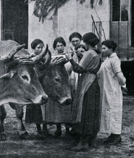 Enjouguage dans une ferme-école