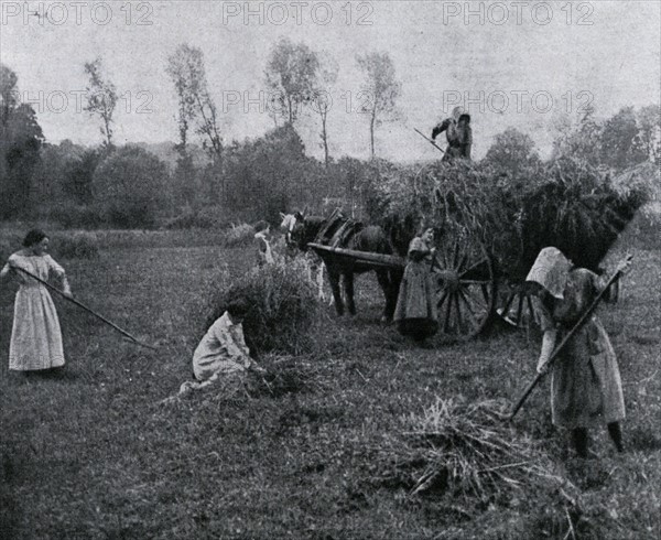 Moisson dans une ferme-école