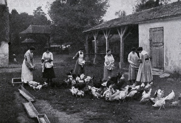 Basse-cour dans une ferme-école