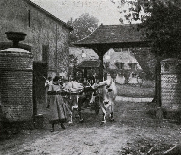 Saint-Léger-en-Yvelines, ferme-école