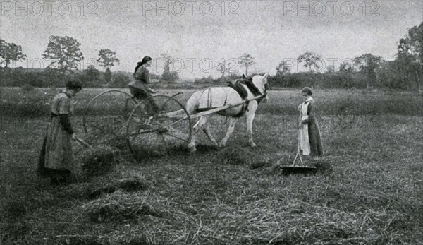 Fenaison dans une ferme-école