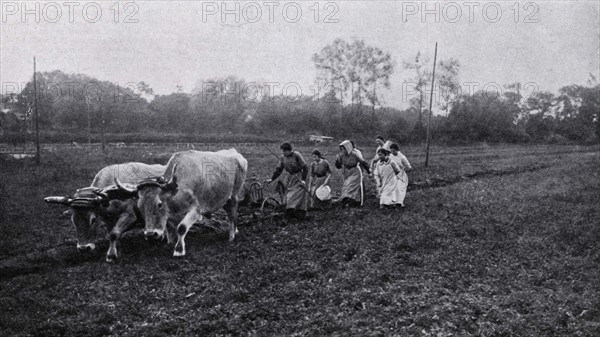 Labourage dans une ferme-école