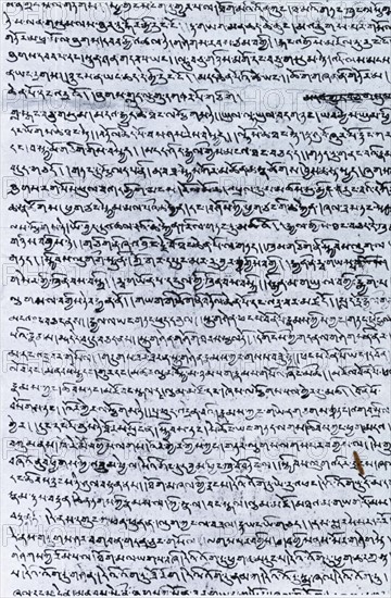 Manuscrit tibétain