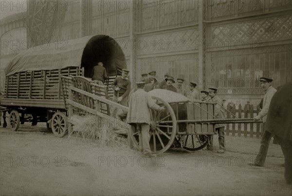 Les Halles de Paris