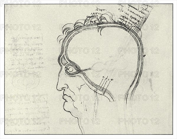 Siège de l'âme dans trois ventricules du cerveau