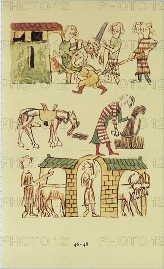 Codex Palatinus Germanicus, around 1330