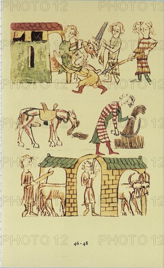 Codex Palatinus Germanicus, vers 1330