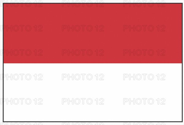 Flag of Indonesia
