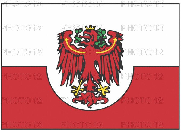 Drapeau du Tirol