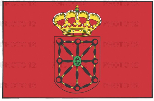 Flag of the province of Navarra
